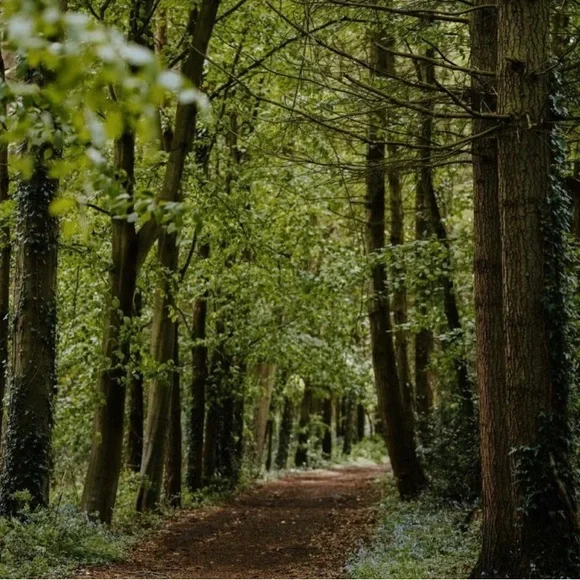 Welcome!💐 - Picture 6 of 6